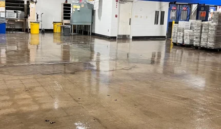 Concrete Grinding & Sealing